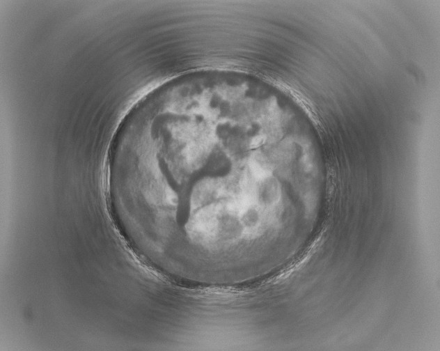 X0000115551125200912041027