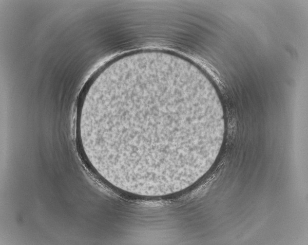 X0000115551126200912041027