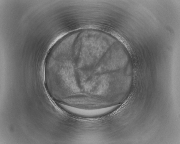 X0000115551127200912041027