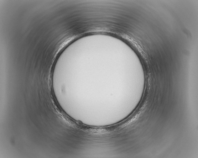 X0000115551129200912041027