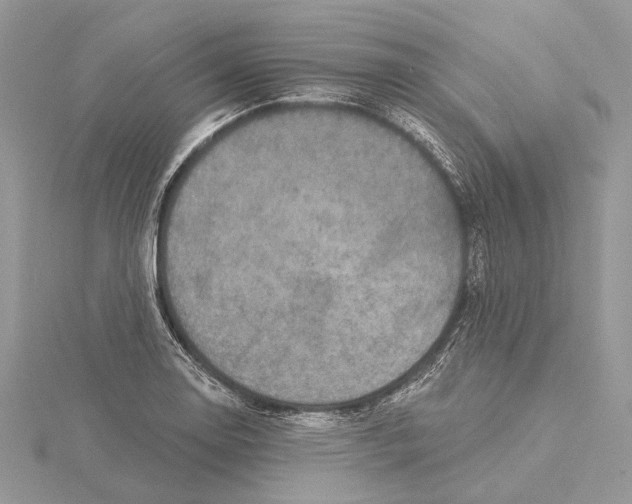 X0000115551130200912041027