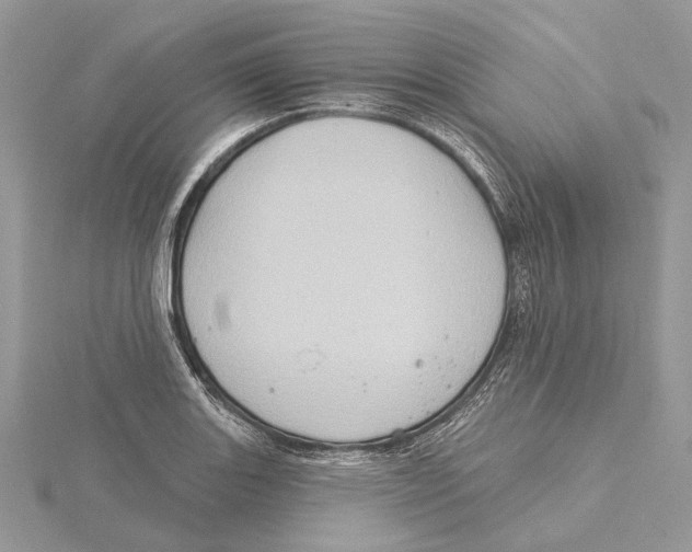 X0000115551131200912041027