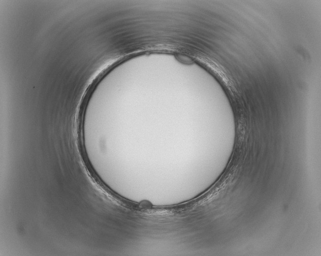 X0000115551135200912041027