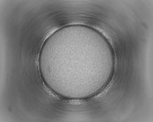 X0000115551137200912041027