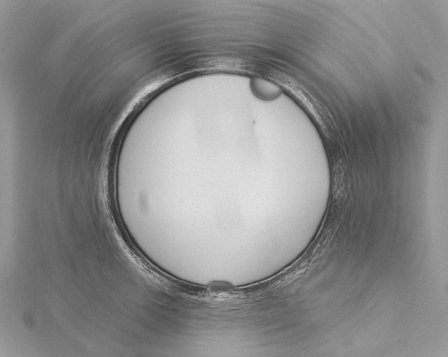 X0000115551139200912041027