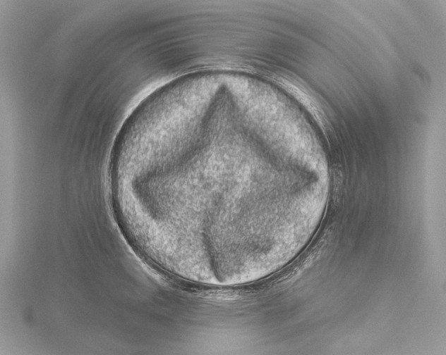 X0000115551141200912041027