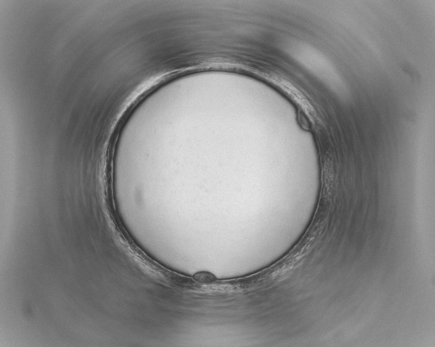 X0000115551142200912041027