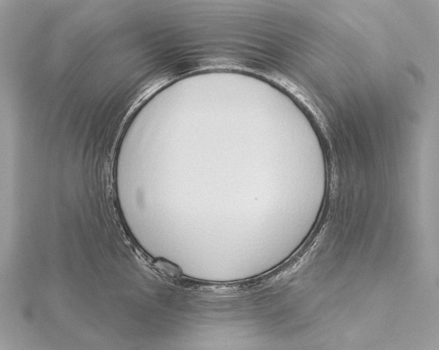 X0000115551145200912041027