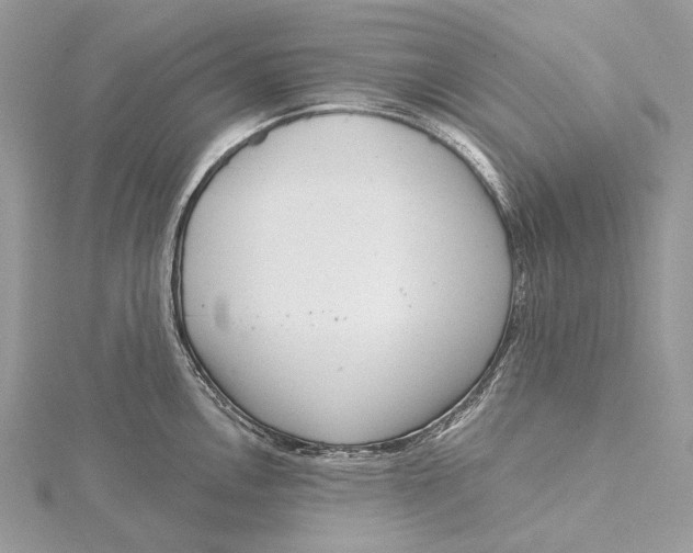 X0000115551146200912041027