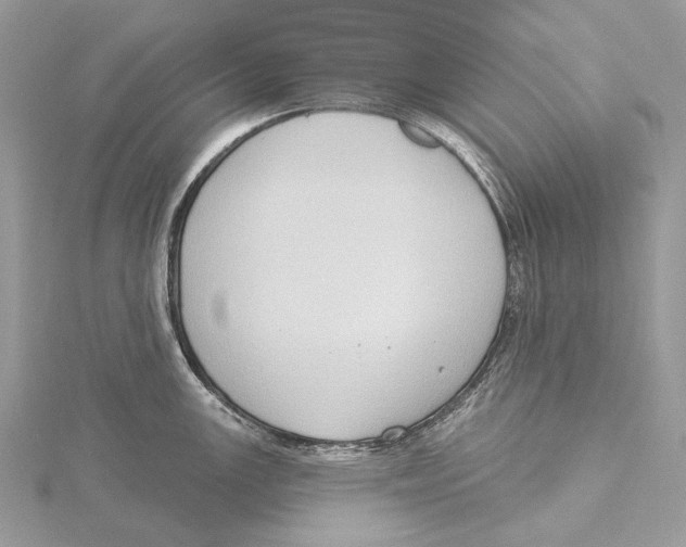 X0000115551147200912041027