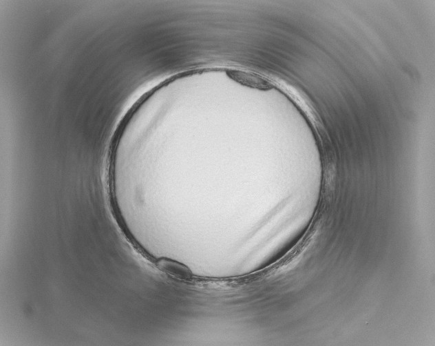 X0000115551149200912041027