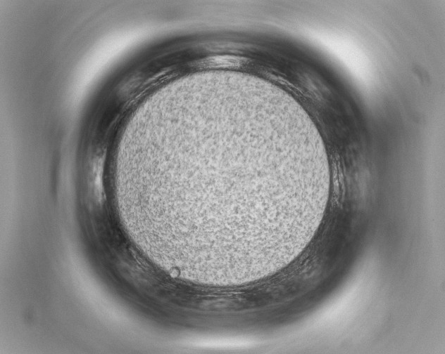 X0000115551150200912041027