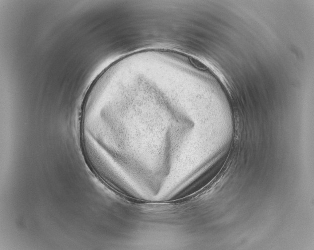 X0000115551151200912041027