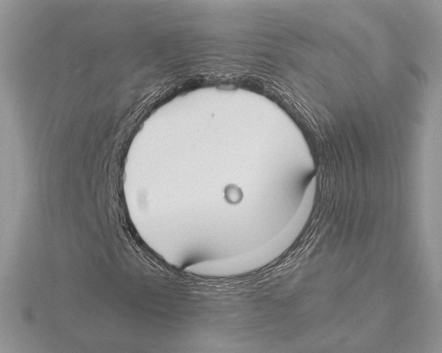 X0000115551153200912041026