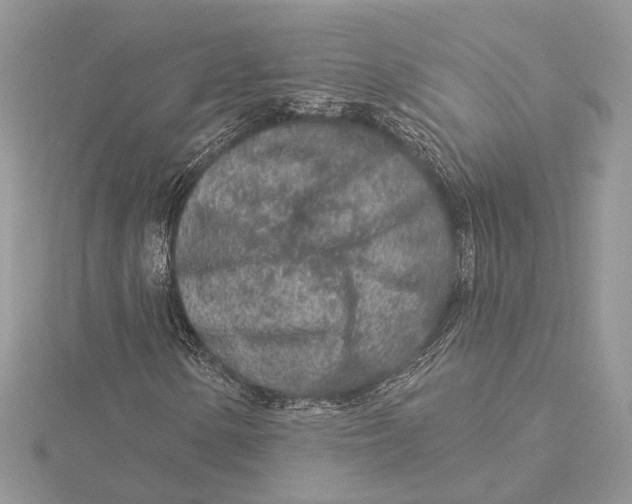 X0000115551154200912041026