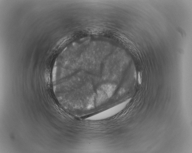 X0000115551155200912041026