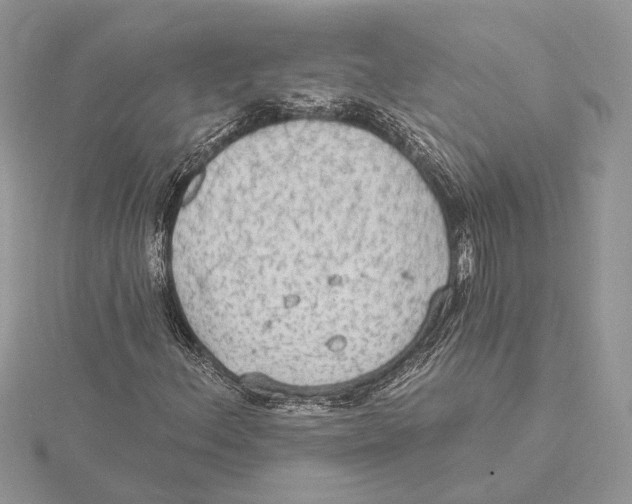 X0000115551156200912041026