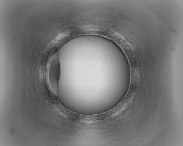 X0000115551157200912041026