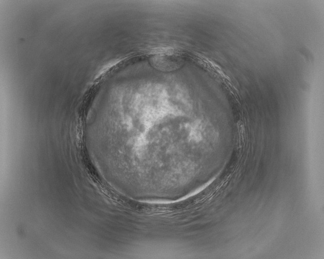 X0000115551158200912041026