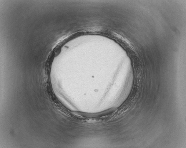 X0000115551160200912041026