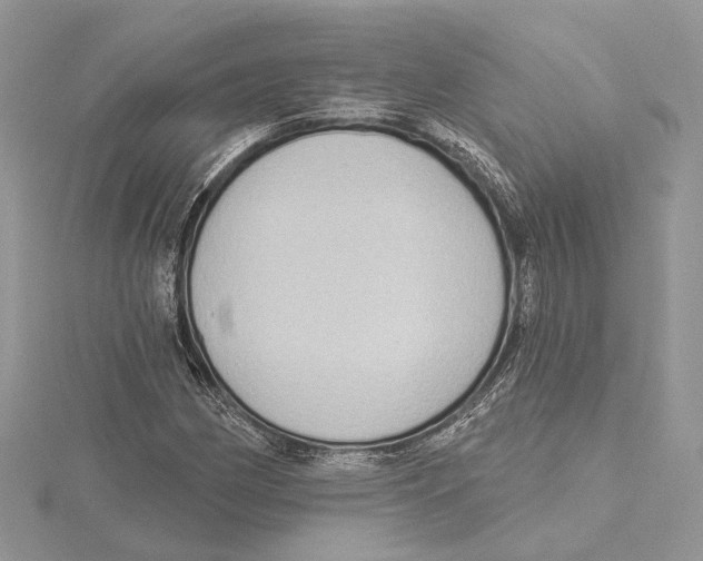 X0000115551162200912041026