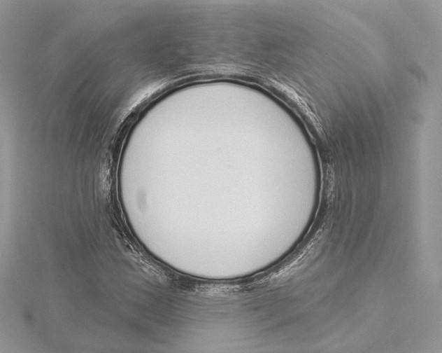 X0000115551163200912041026