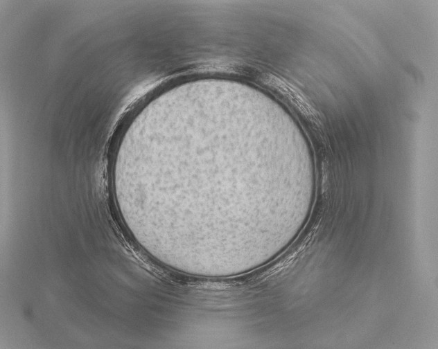 X0000115551164200912041026