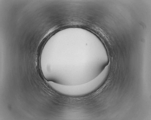 X0000115551165200912041026