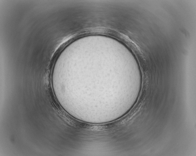 X0000115551166200912041026