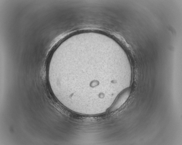 X0000115551167200912041026