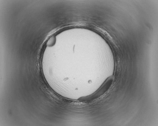 X0000115551168200912041026