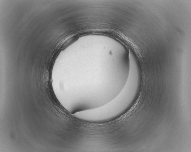 X0000115551169200912041026