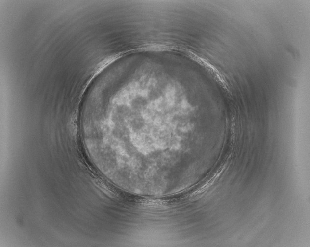 X0000115551170200912041026