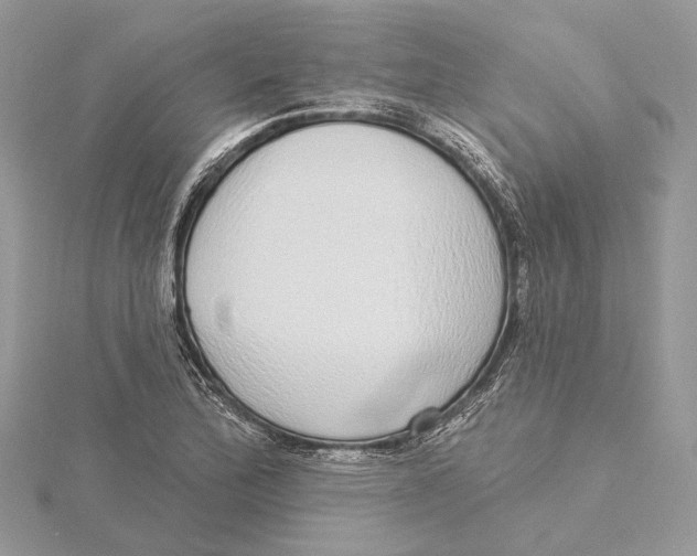 X0000115551172200912041026