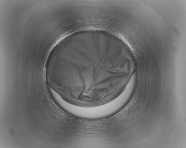 X0000115551173200912041026