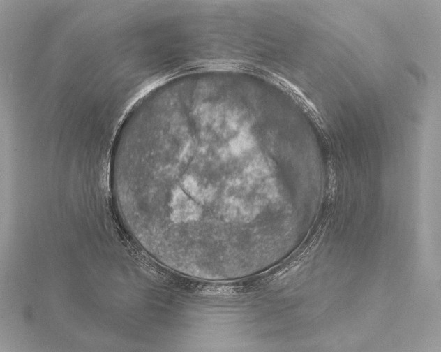 X0000115551174200912041026