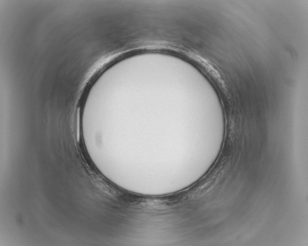 X0000115551175200912041026