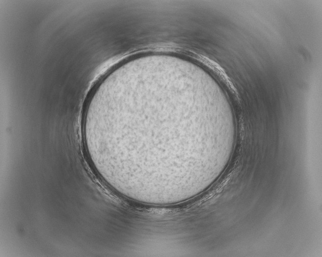 X0000115551176200912041026