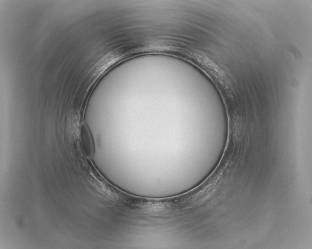 X0000115551177200912041026