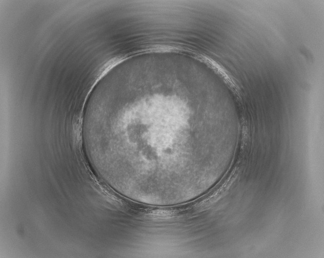 X0000115551178200912041026