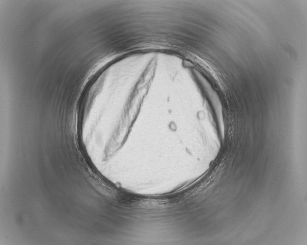 X0000115551179200912041026