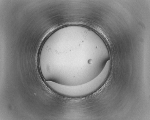 X0000115551181200912041026