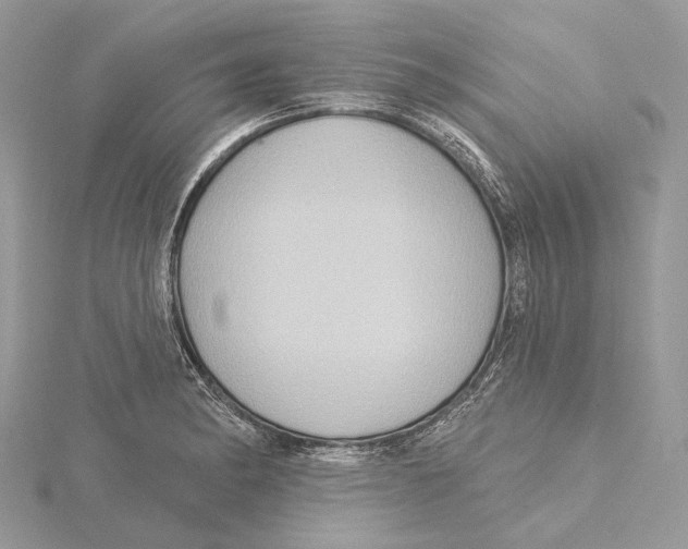 X0000115551182200912041026