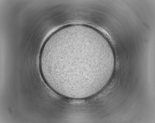 X0000115551183200912041026