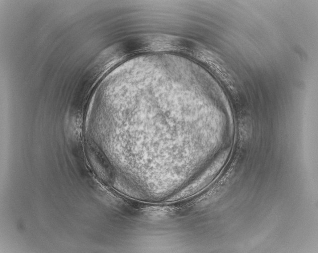 X0000115551185200912041026