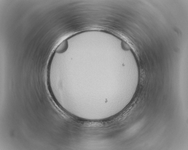 X0000115551187200912041026