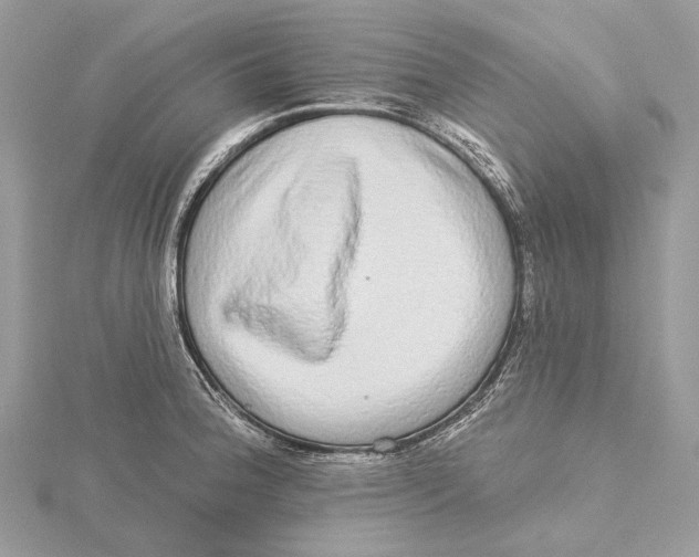 X0000115551188200912041026