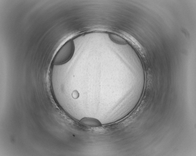 X0000115551190200912041026