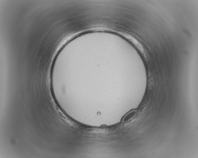 X0000115551191200912041026