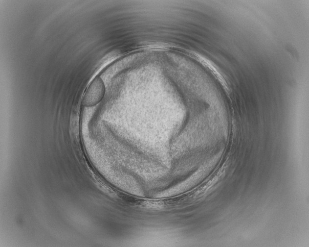 X0000115551194200912041026